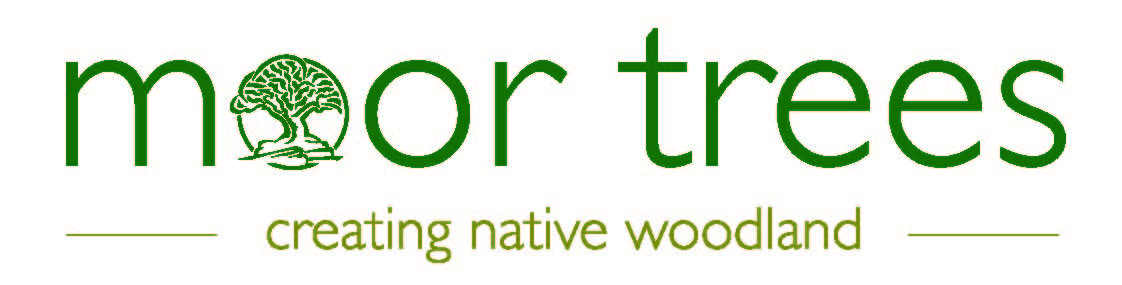 MT Logo strapline Colour (002)